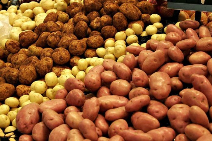 В Казахстане может подорожать картофель до 250-300 тенге