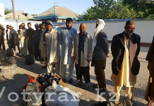 В Сарыагашском районе ЮКО за незаконный сбор ферулы вонючей задержаны граждане Афганистана Граждане Афганистана собирали ферулу вонючую