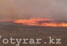 Горящие выходные в ЮКО: степной пожар чудом удалось остановить на подступах к селу