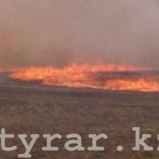 Сухостой горел в поселке Кенсай Байдибекского района