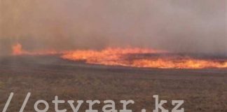 Горящие выходные в ЮКО: степной пожар чудом удалось остановить на подступах к селу