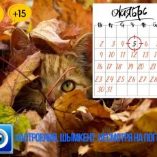 Шымкент: солнечно, но холодно погода на 5 октября