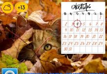 Погода в Шымкенте: вероятность дождя 80% Прогноз погоды октябрь