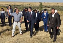 В ЮКО городище Ханкорган станет музеем под открытым небом В ЮКО городище Ханкорган станет музеем под открытым небом