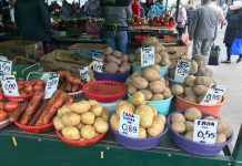 Цена выше 300 тенге за 1 кг картофеля в Шымкенте этой зимой уже не фантастика Цены на картошку в Белорусии