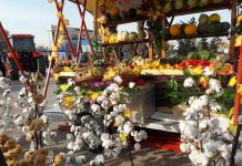 В рамках выставки «Агрофест-2017» в Шымкенте проходит ярмарка сельхозпроизводителей со всей области Ярмарка на Нурсате