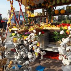 В рамках выставки «Агрофест-2017» в Шымкенте проходит ярмарка сельхозпроизводителей со всей области Ярмарка на Нурсате