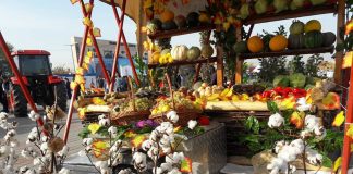 В рамках выставки «Агрофест-2017» в Шымкенте проходит ярмарка сельхозпроизводителей со всей области Ярмарка на Нурсате