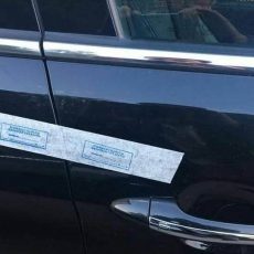Служебные автомобили, принадлежащие акимату Шымкента, опечатаны Служебные авто акимата опечатаны