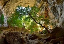 Почему китайцы хотят попасть в Ак-Мечеть, расположенную в ЮКО Пещера Ак-Мечеть в ЮКО