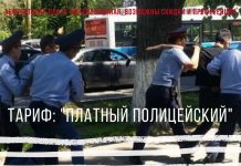 Платную полицию предложили создать в Казахстане В Казахстане предложили платную полицию