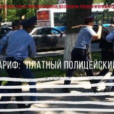 Платную полицию предложили создать в Казахстане В Казахстане предложили платную полицию