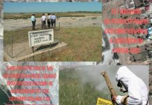 В ЮКО для бетонирования очагов сибирской язвы выделен 101 млн. тенге Скотомогильник на грани разрушения