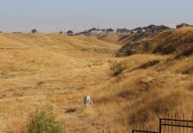 Дьявольское ущелье на эскизе цветущего парка Дьявольское ущелье на эскизе цветущего парка