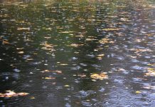 Прогноз погоды на 8 октября Осенний дождь