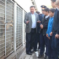 В Шымкенте полицейские рассказали школьникам о работе кинологической службы В Шымкенте полицейские рассказали школьникам о работе кинологической службы