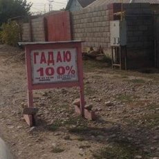 В Шымкенте есть целая улица, где можно получить услуги гадалок В Шымкенте есть целая улица где можно получить услуги гадалок