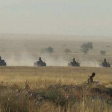 Вооруженное бандформирование пыталось захватить аэропорт и склады — учения «Каратау-2017» Учения "Каратау-2017"