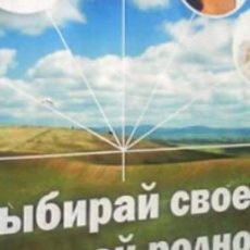 Ярмарка локальных производителей ждет жителей и гостей Шымкента Ярмарка местных товаров
