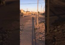 Народное видео: Кайтпас-1 терроризируют бродячие собаки Кайтпас-1 терроризируют бродячие собаки