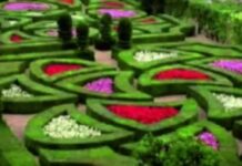 На месте бывшего мусорного полигона в Шымкенте откроется новый Экопарк Городская свалка Шымкента превращается в парк