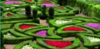 Городская свалка Шымкента превращается в парк Городская свалка Шымкента превращается в парк