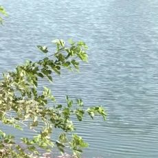 Сказочное озеро возродили в Састобе