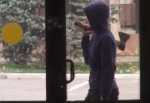 Специализированные межрайонные суды Шымкента подверглись атаке условного террориста Условный террорист в суде