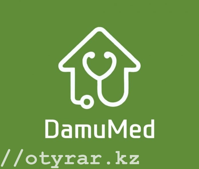 мобильное приложение электронных медицинских сервисов DamuMed