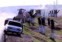 «Бой с тенью» по-южноказахстански Обрезка деревьев