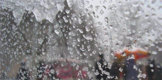 Зима в Шымкенте начнется с мокрого снега В Шымкенте мокрый снег