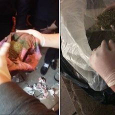 2,5 килограмма марихуаны обнаружили полицейские у 30-летнего жителя Шымкента 2,5 кг марихуаны обнаружили у жителя Шымкента