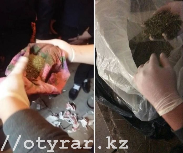 2,5 кг марихуаны обнаружили у жителя Шымкента