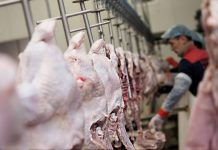 ЮКО за восемь месяцев экспортировала около 3 тысяч тонн мяса ЮКО экспортирует мясо