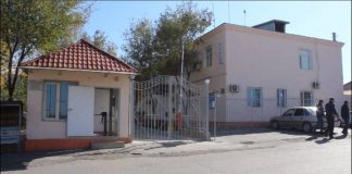 В ЮКО полицейские задержали 40-летнего подозреваемого, занимавшегося посевом конопли Отдел полиции в Шардаринском районе