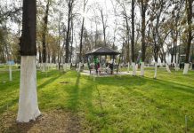 Шымкентский парк «Металлургов» с 60-летней историей прошел реконструкцию Парк Металлургов открыт официально