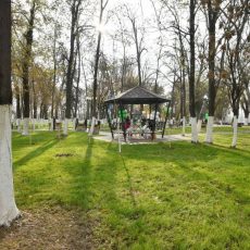 Шымкентский парк «Металлургов» с 60-летней историей прошел реконструкцию Парк Металлургов открыт официально