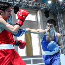 Стали известны чемпионы Казахстана по боксу и лучший боксер турнира 2017 года Чемпионат РК по боксу
