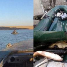 За 9 месяцев в ЮКО зарегистрировано 37 случаев браконьерства 37 фактов браконьерства выявлено в ЮКО