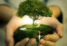 Зачем нам нужна память?