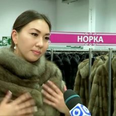 Шубамания вернулась в Шымкент Шубамания вернулась в Шымкент