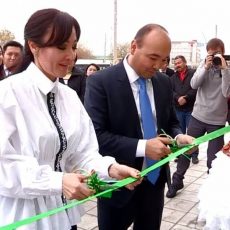 Сбербанк в Шымкенте открыл новые смарт-офисы Сбербанк в Шымкенте открыл новые смарт-офисы