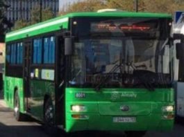 Автобусы с Шымкентскими номерами в Алматы