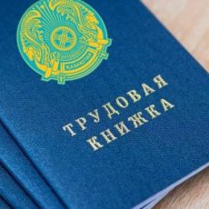 Ищите работу? В Шымкенте стартовал новый этап тестирования по проекту «Бастау Бизнес» Трудовые книжки