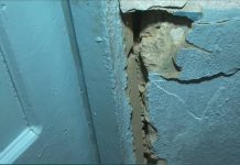 6000 школьников Сарыагашского района учатся в разрушающихся зданиях В Сарыагашском районе ЮКО работают 6 аварийных школ