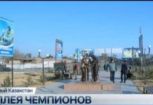 Новая аллея появилась в Шардаре Южно-Казахстанской области Новая аллея появилась в Шардаре