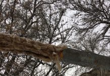 Изоляция теплотрассы по-шымкентски Изоляция теплотрассы по-шымкентски