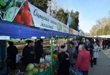 В Шымкенте прошла новогодняя ярмарка сельскохозяйственной продукции Новогодняя ярмарка в Шымкенте