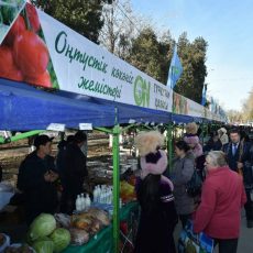 В Шымкенте прошла новогодняя ярмарка сельскохозяйственной продукции Новогодняя ярмарка в Шымкенте