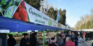 В Шымкенте прошла новогодняя ярмарка сельскохозяйственной продукции Новогодняя ярмарка в Шымкенте